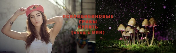 эйфоретик Горнозаводск