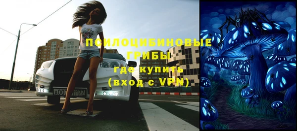 экстази Горняк