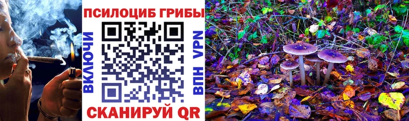 Псилоцибиновые грибы Psilocybine cubensis  Ачинск 